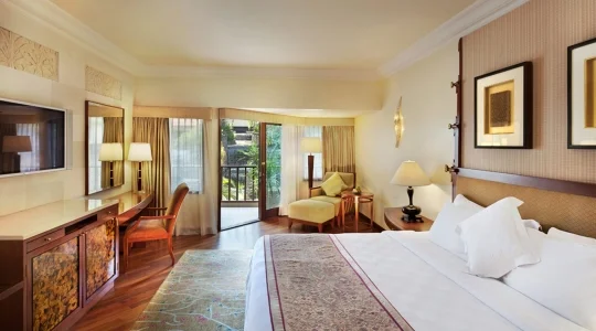 デラックスガーデンビュールーム